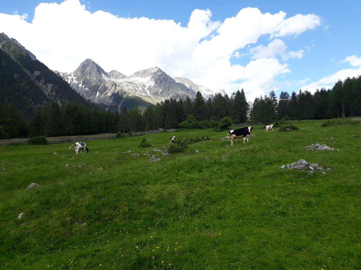 Unterreinischhof Vila Anterselva di Mezzo Exterior foto